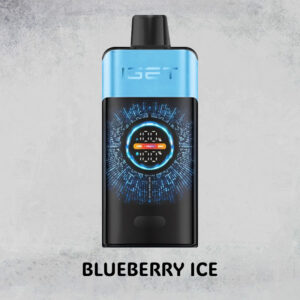 BLUEBERRY ICE – IGET ONE – 12000 PUFFS