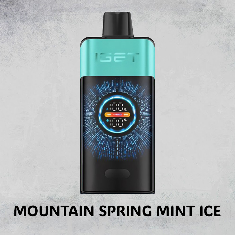 MOUNTAIN SPRING MINT ICE – IGET ONE – 12000 PUFFS